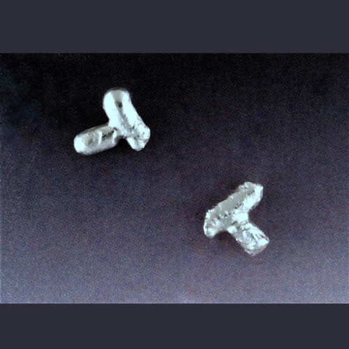 Click to view detail for MB-E370 Earrings, Little Chromosomes $42
